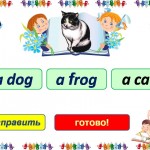 Тест на чтение первых английских слов